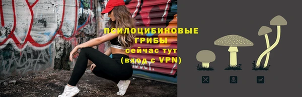 соль ск Белоозёрский