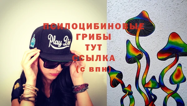 кокс Баксан