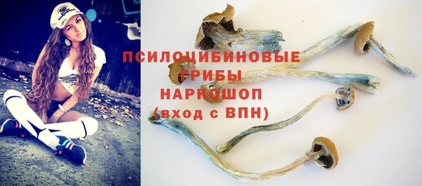кокс Баксан